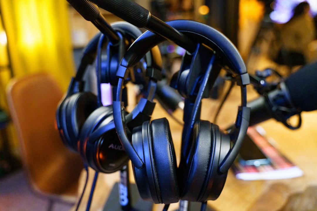notebooklm audio overview feature